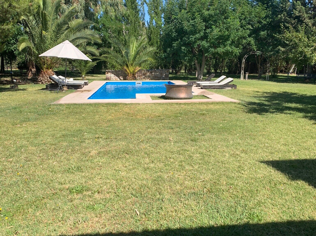 Suter Petit Hotel主图