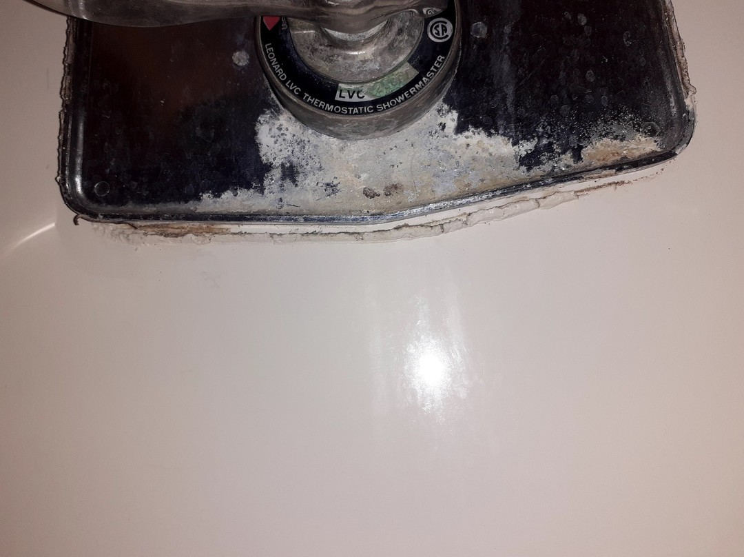 Baymont by Wyndham Texarkana主图