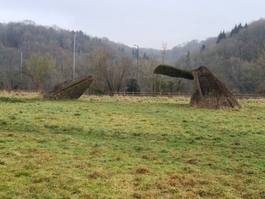 Bennett's Patch and White's Paddock-布里斯托尔必去景点