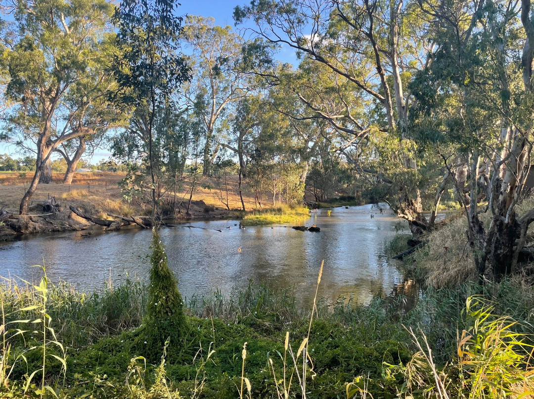 Axedale River Reserve-Axedale必去景点