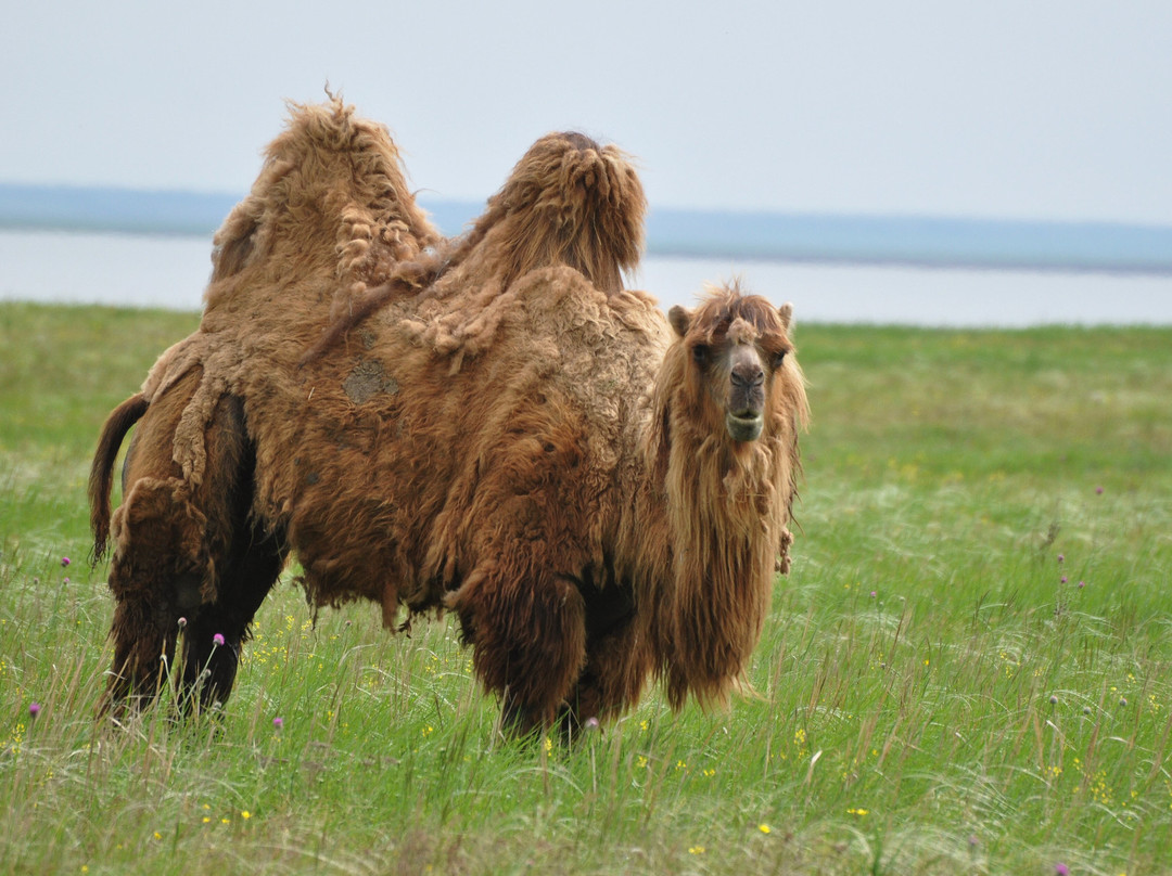 State Biosphere Reserve Rostovskiy景点图片