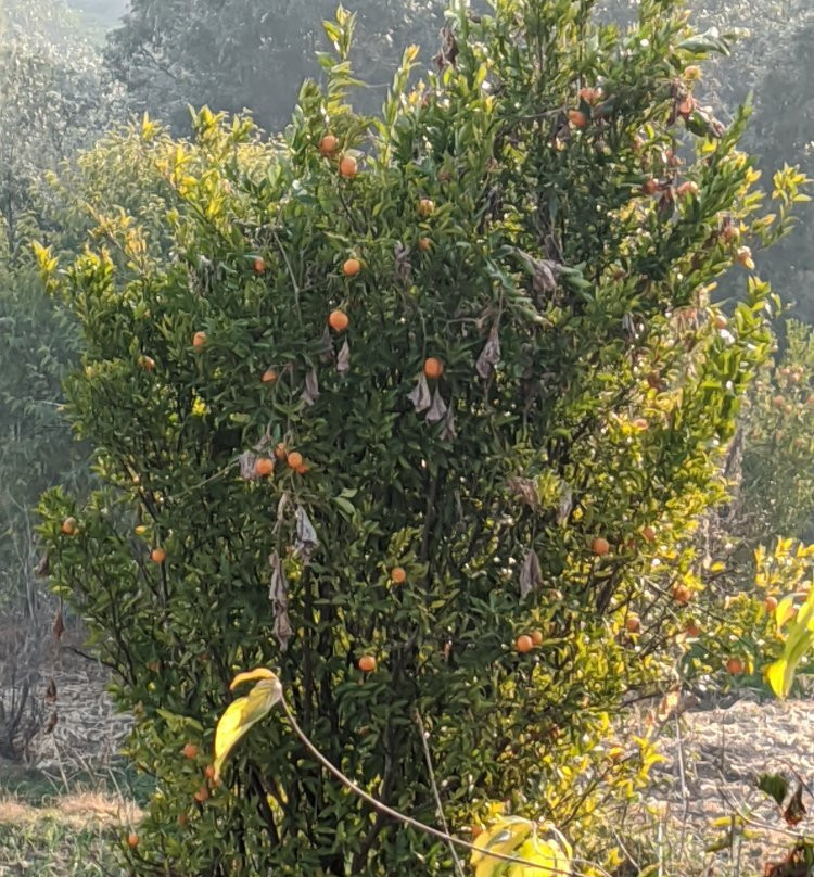 切福隆山脉别墅主图