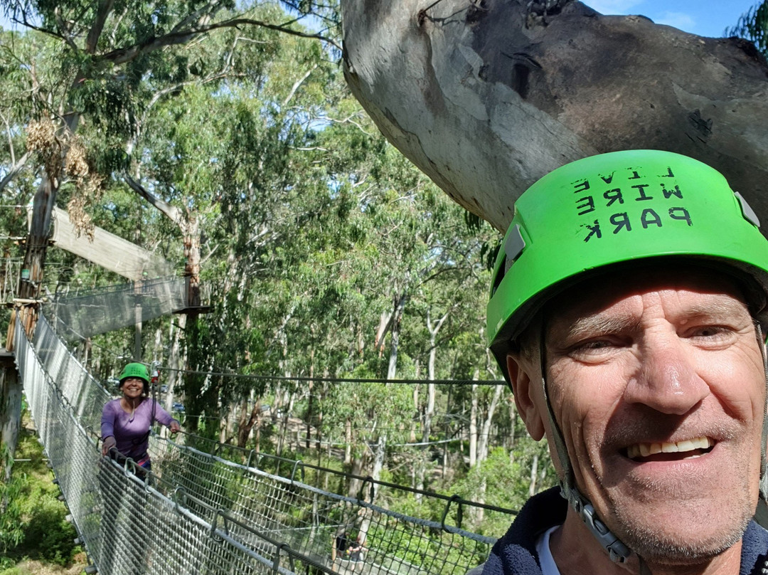 Live Wire Park-洛恩必去景点