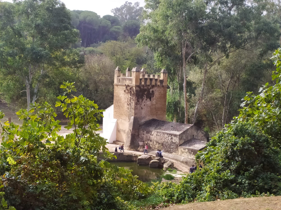 Molino del Algarrobo-Alcala de Guadaira必去景点