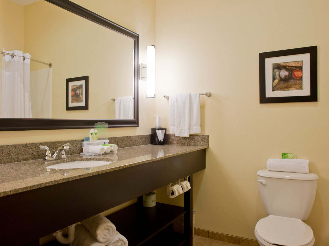 Holiday Inn Express & Suites Prattville South By IHG主图