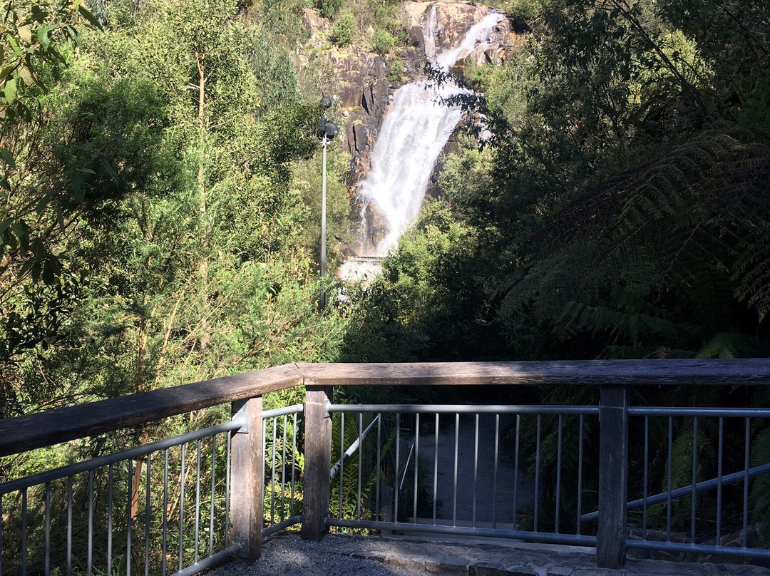 Steavenson Falls景点图片