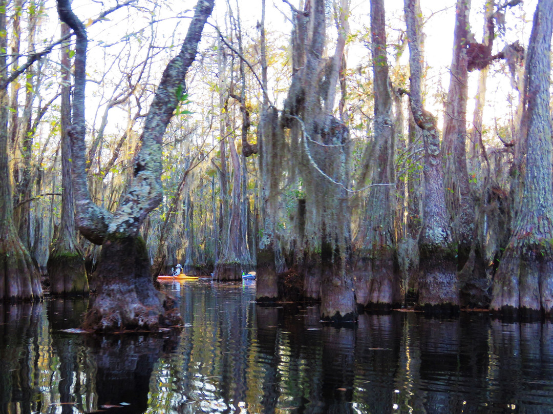 Mill Pond Kayak, LLC-Twin City必去景点