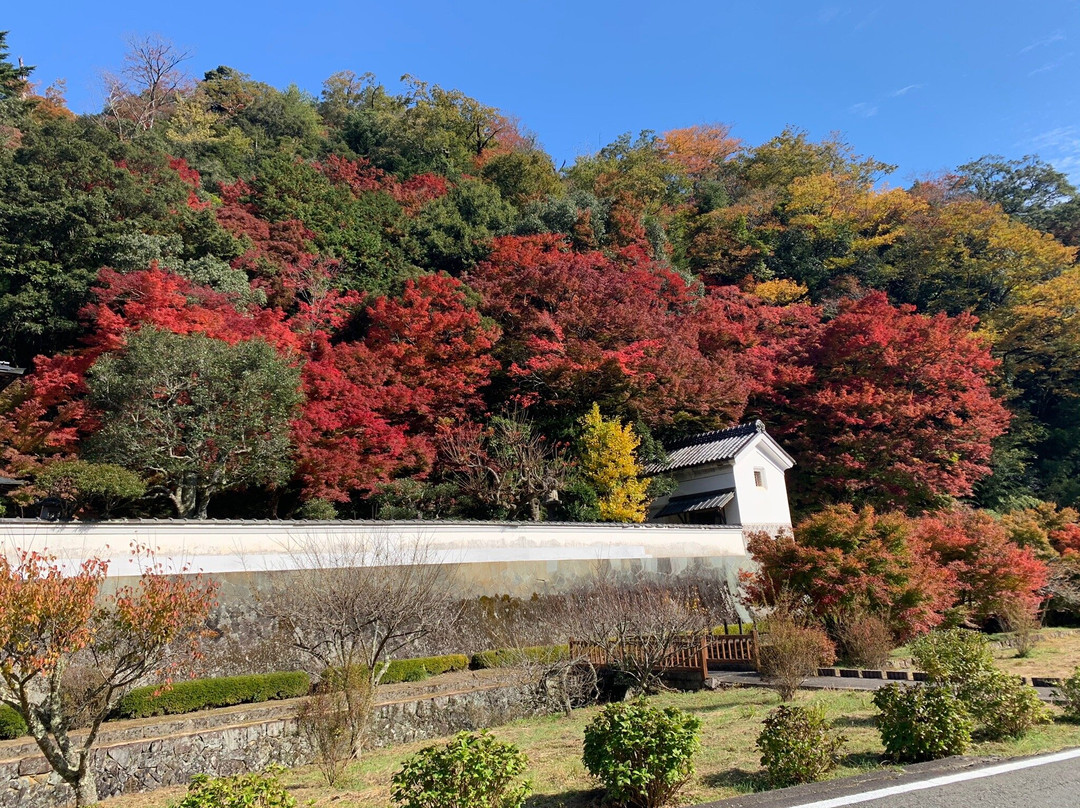 Hori Teien Garden-津和野町必去景点