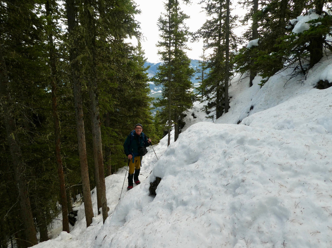 Prairie View Trail-卡那那斯基斯必去景点