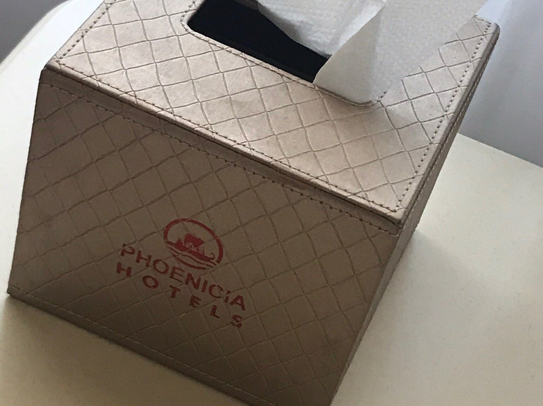 腓尼基大酒店主图