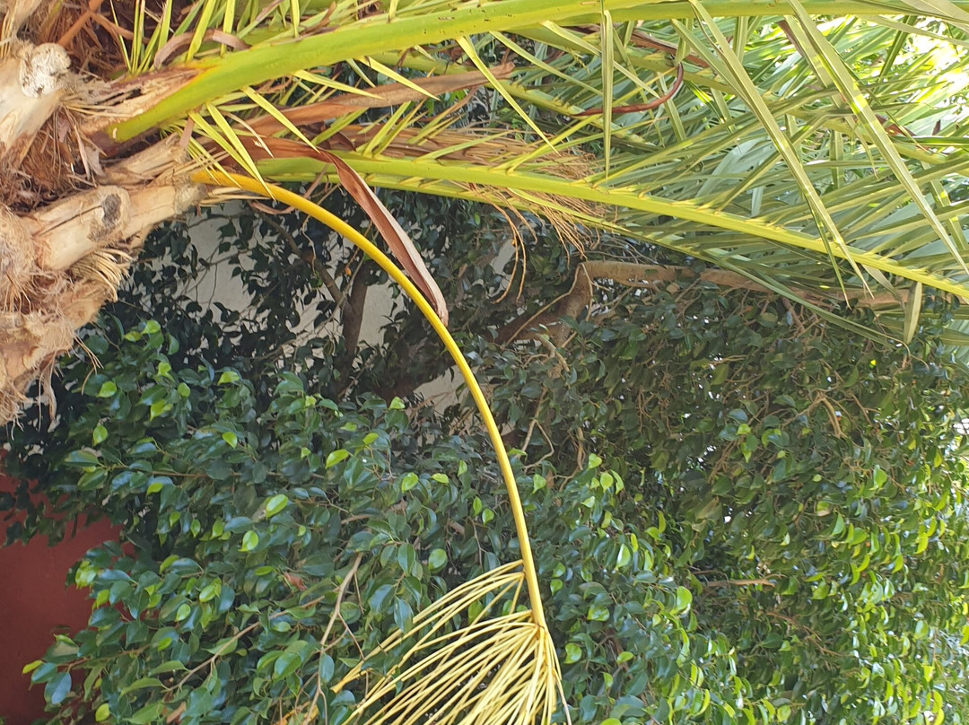 Bodegas Iglesias-Bollullos Par del Condado必去景点