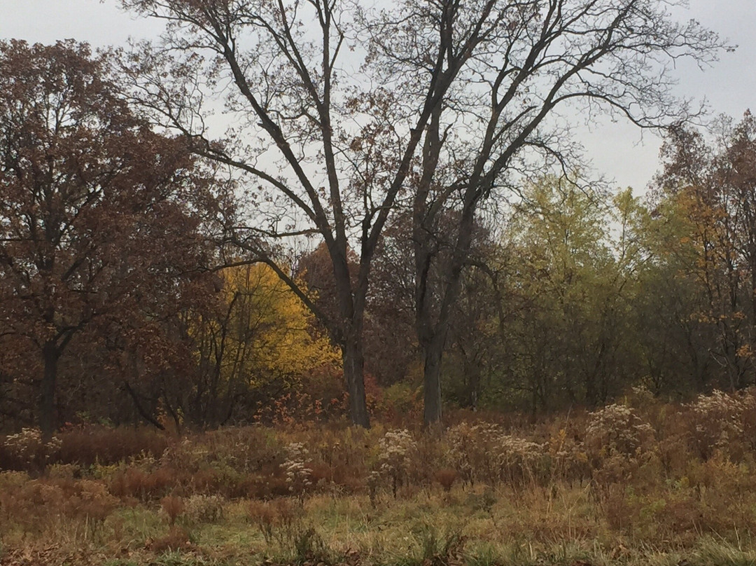 Hickory Creek Preserve-Mokena必去景点