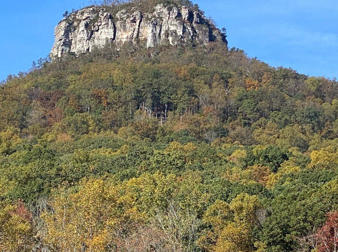 Pilot Mountain State Park景点图片