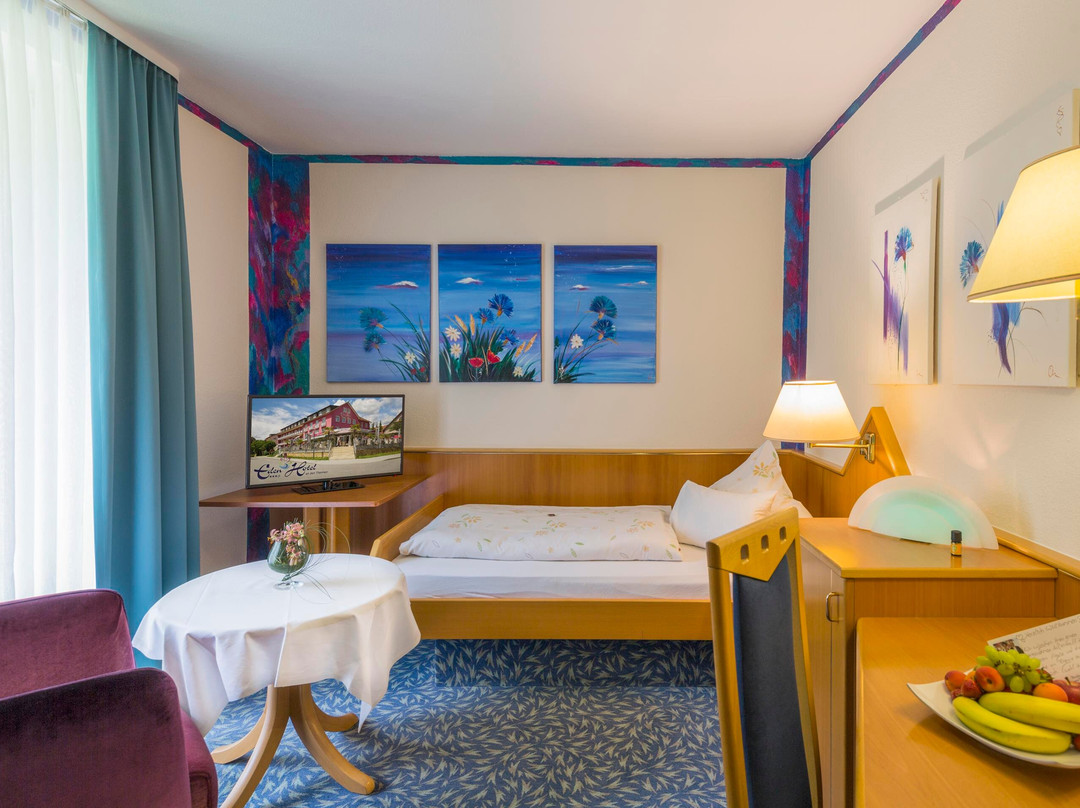 Eden Hotel, Haus am Park主图