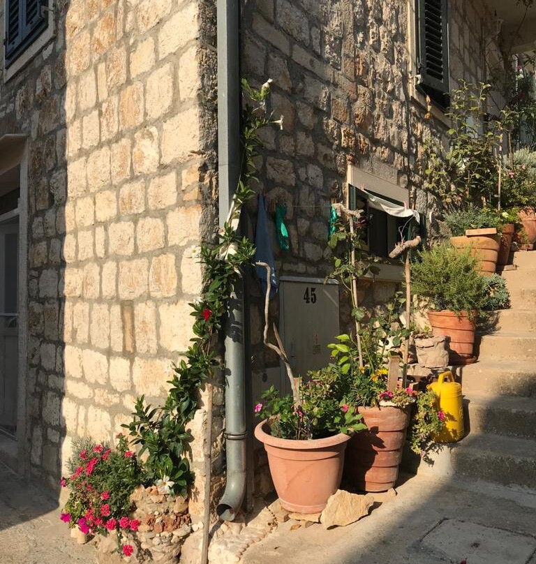 Archeological Museum-维斯必去景点