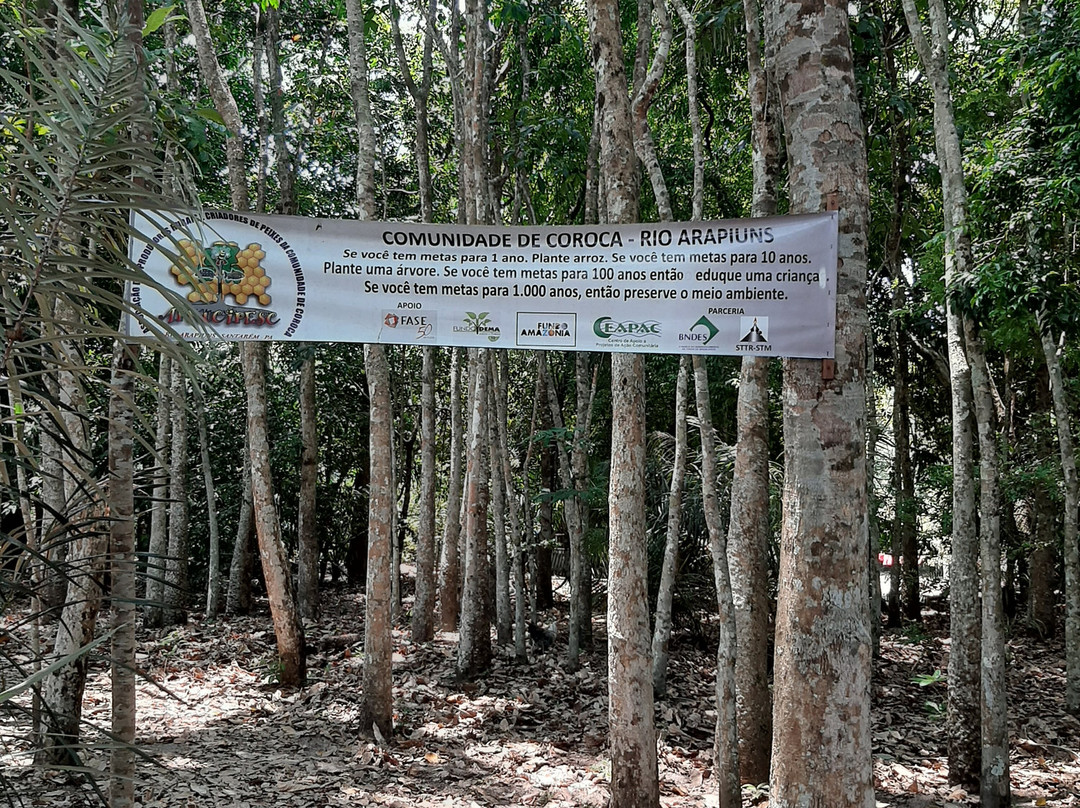 Rio Arapiuns-Santarem必去景点