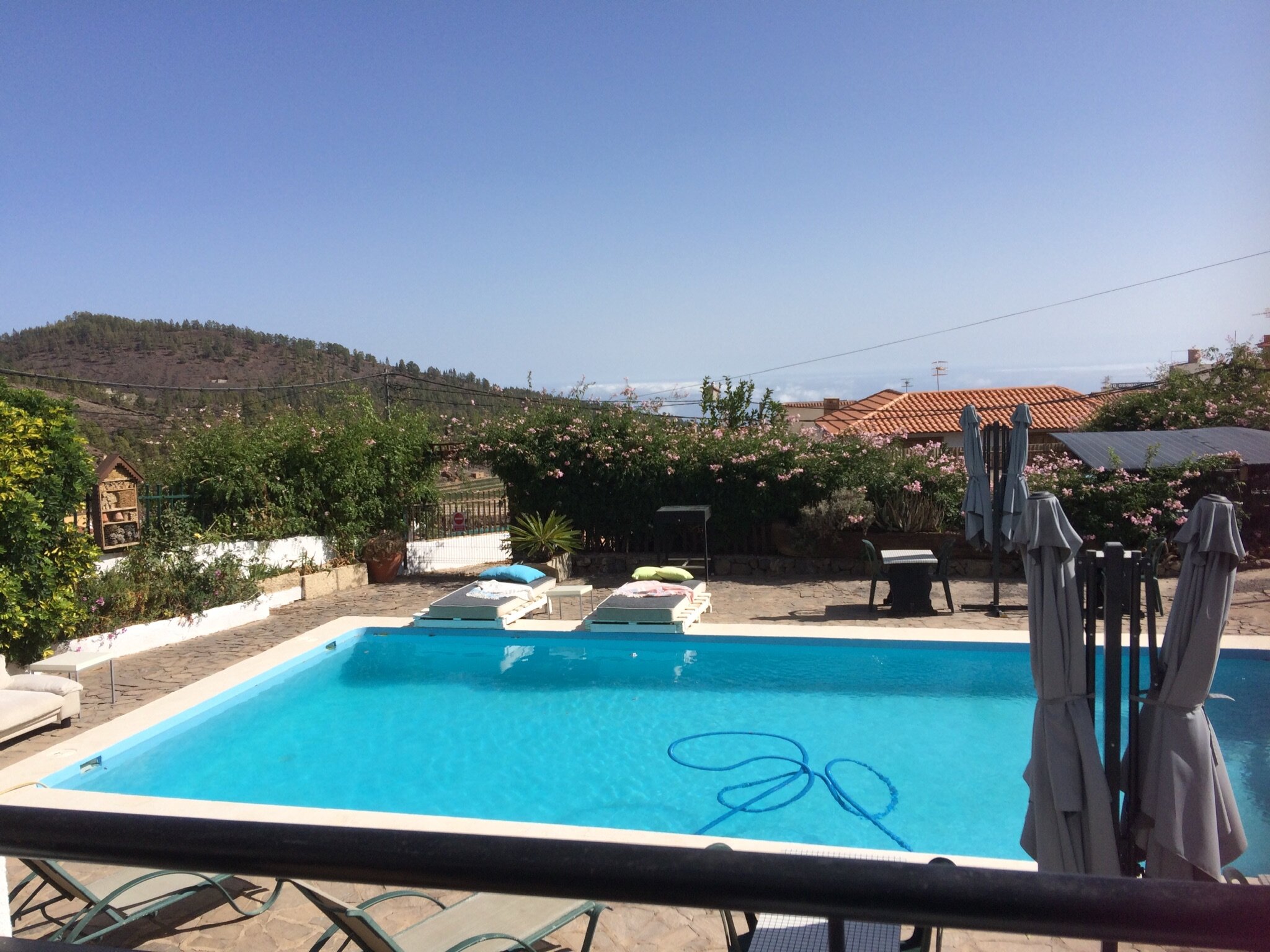 Ziggys Retreat B&B-泳池