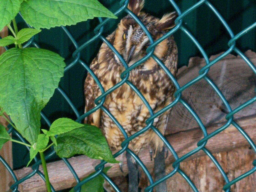 Wild Wings-Honeoye Falls必去景点