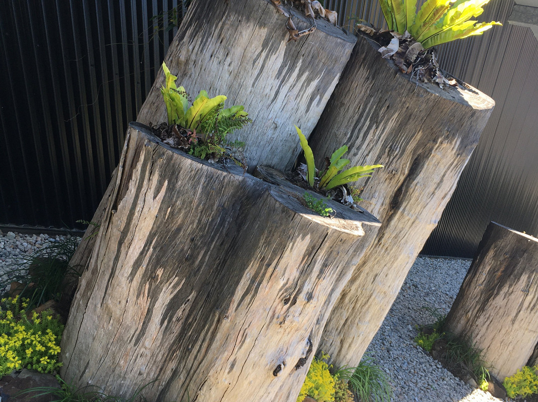 Cedar Gallery景点图片