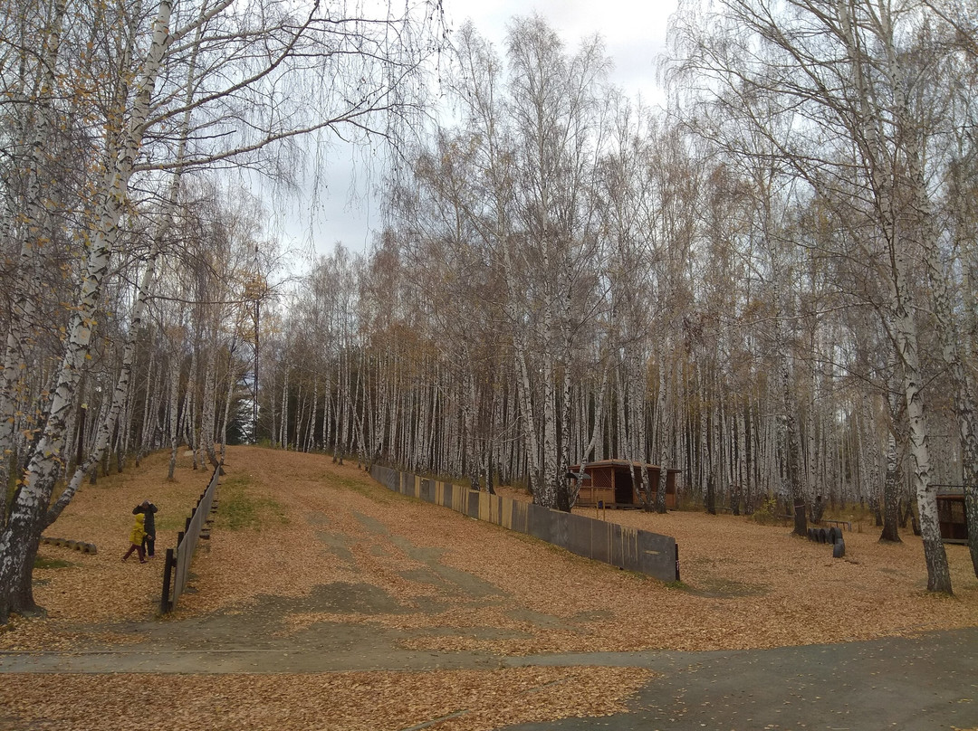 Verhnyaya Pyshma旅游攻略图片
