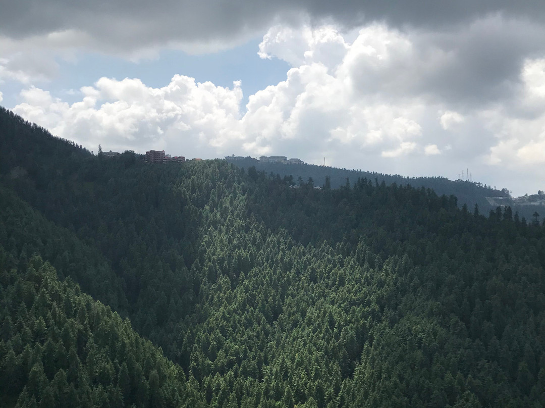 Zostel Homes Theog (Shimla)主图