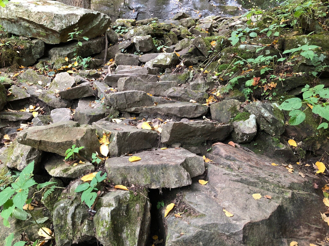 Kaymoor Miners Trail景点图片
