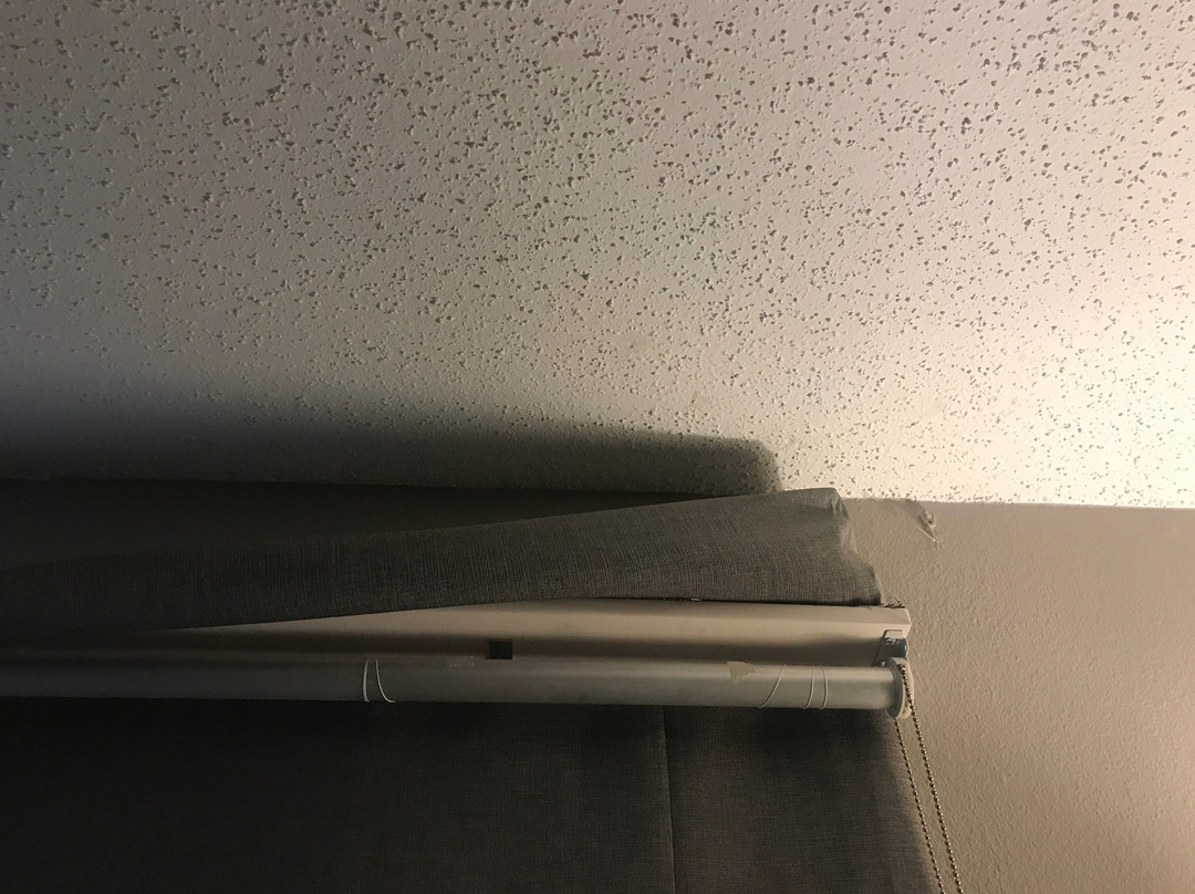 Wingate By Wyndham Shreveport Airport主图