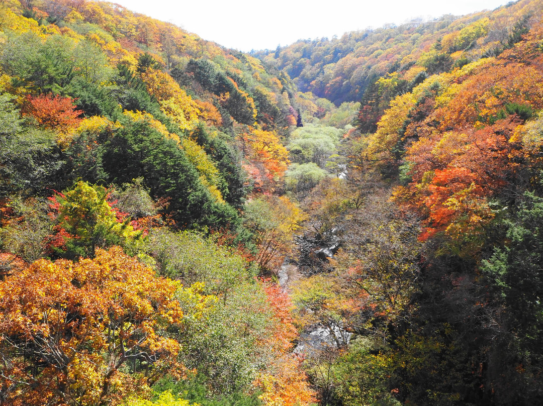 Higashizawa Bridge景点图片