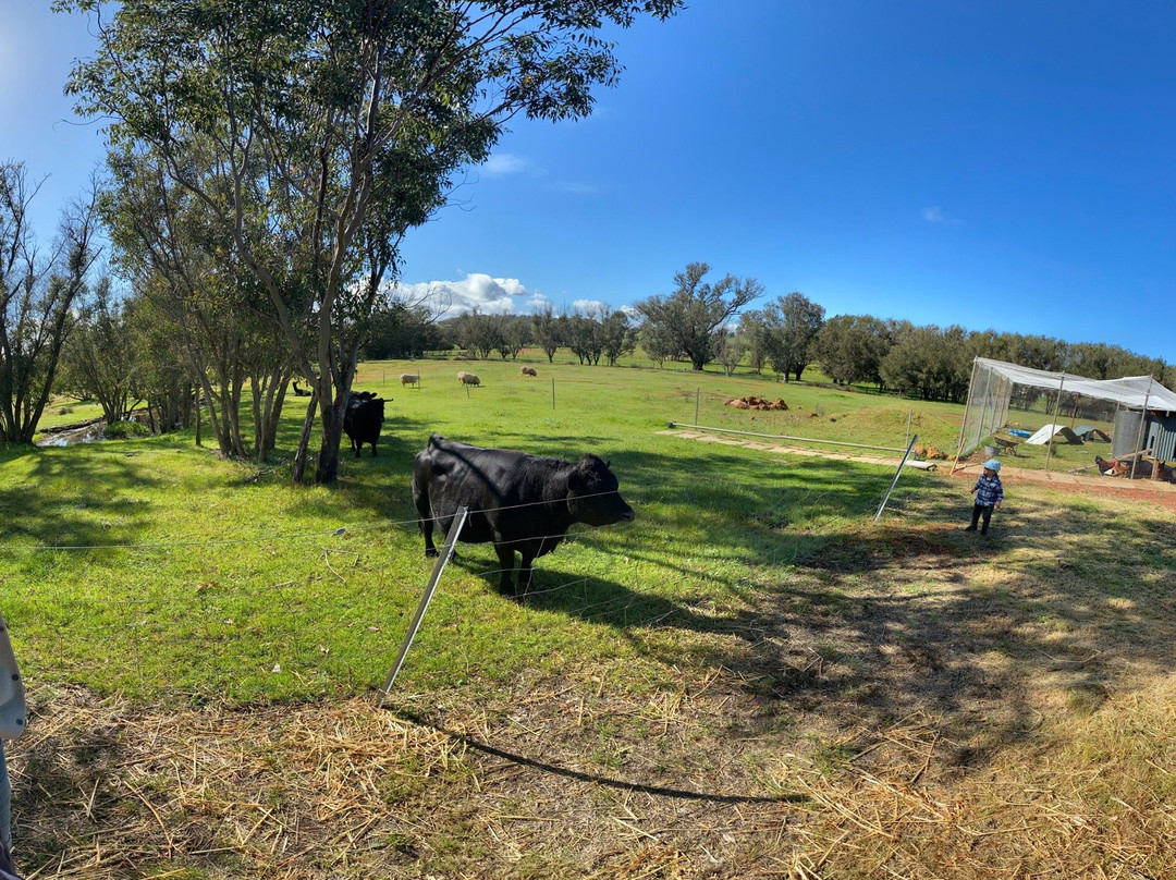 Orchard Glory Farm Resort主图