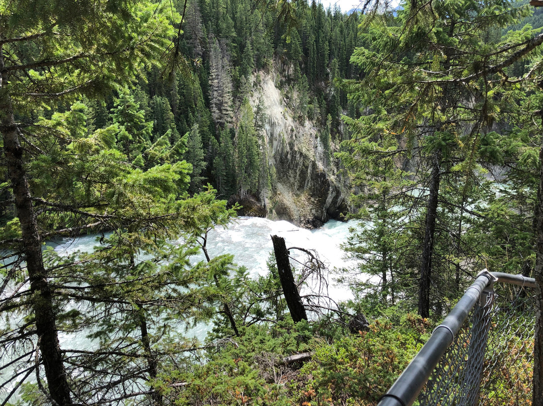 Wapta Falls-幽鹤国家公园必去景点