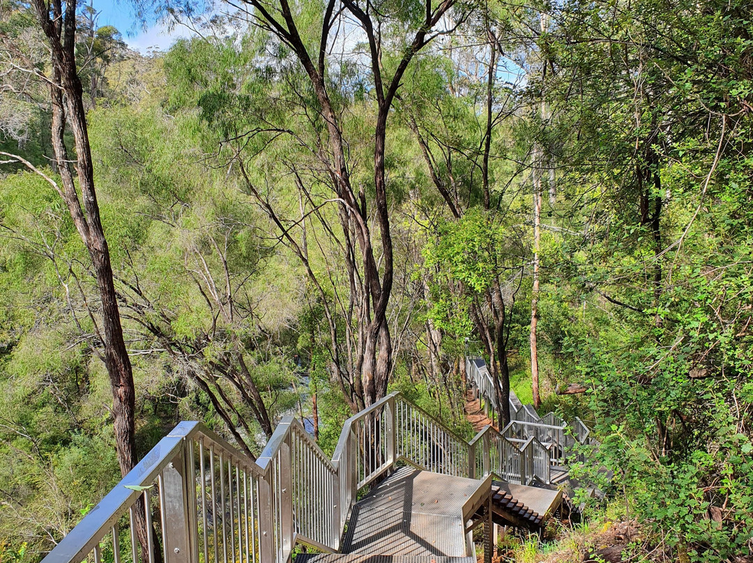 Beedelup National Park-彭伯顿必去景点