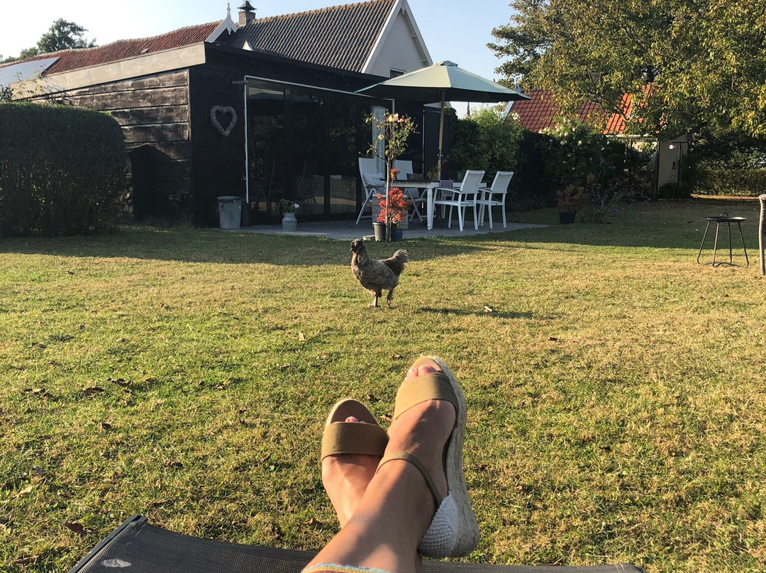 Logeren bij KA主图