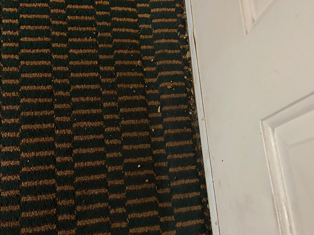 Super 8 by Wyndham Lancaster主图