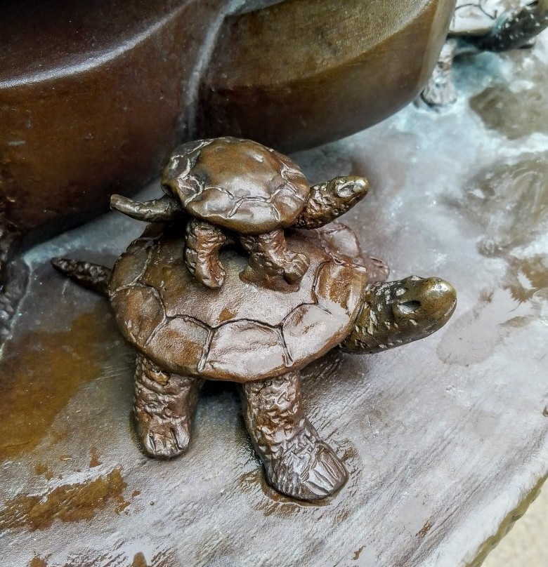 Wilderness Drive-Lake Itasca必去景点