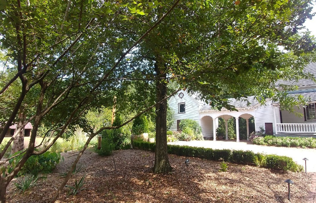 Columbus Botanical Garden-哥伦布必去景点