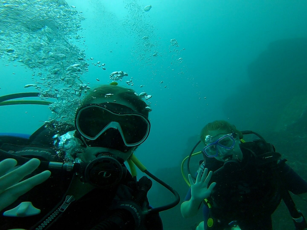 Scuba Diving Anfibios Huatulco景点图片