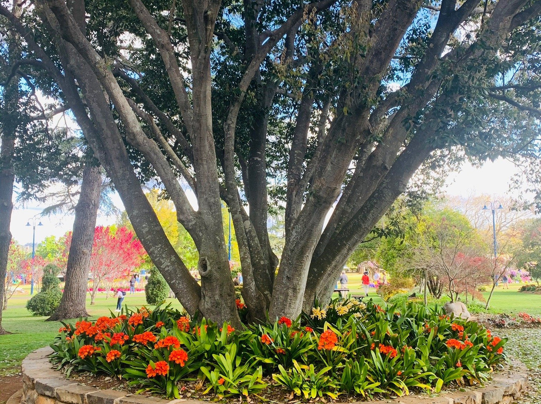 Comfort Inn Grammar View主图