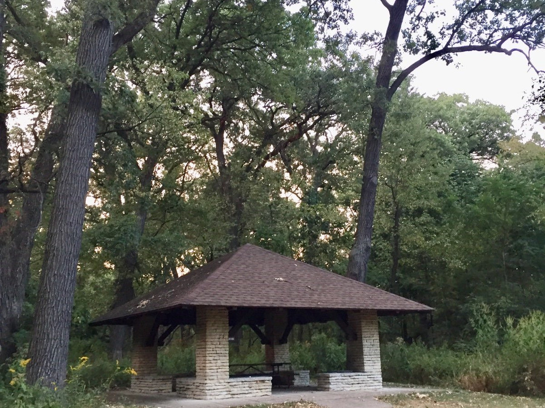 York Woods Preserve-奥克布鲁克必去景点