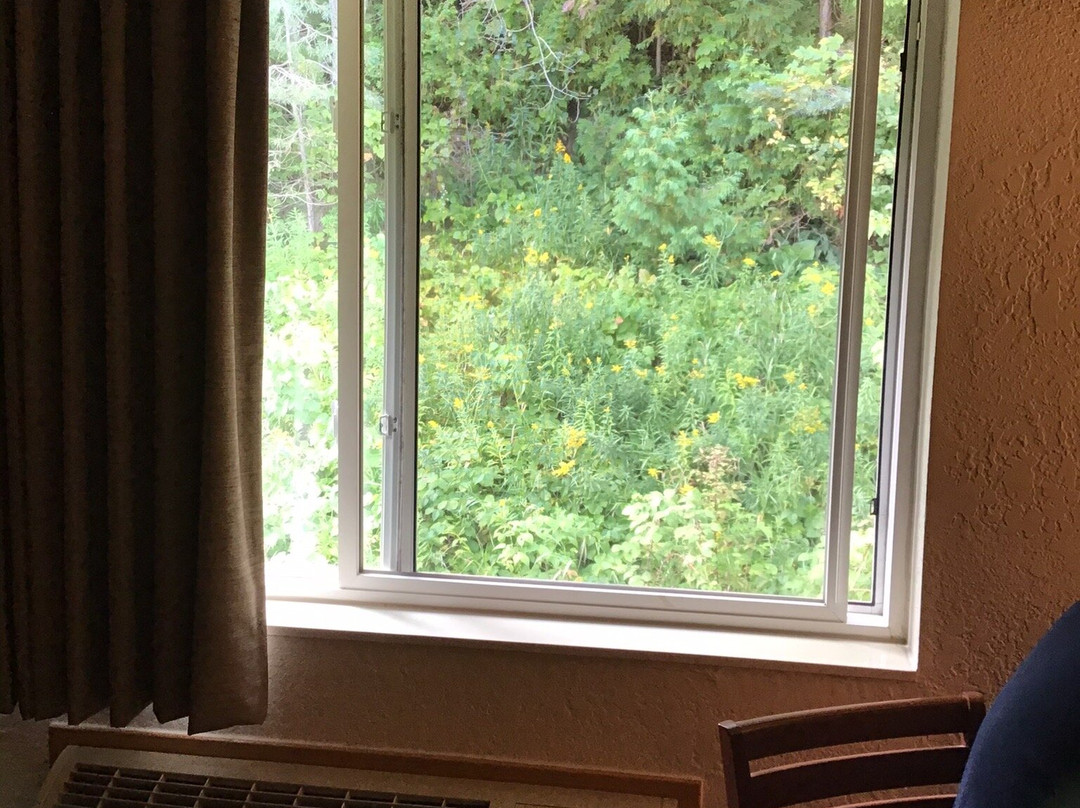 AmericInn by Wyndham Petoskey主图