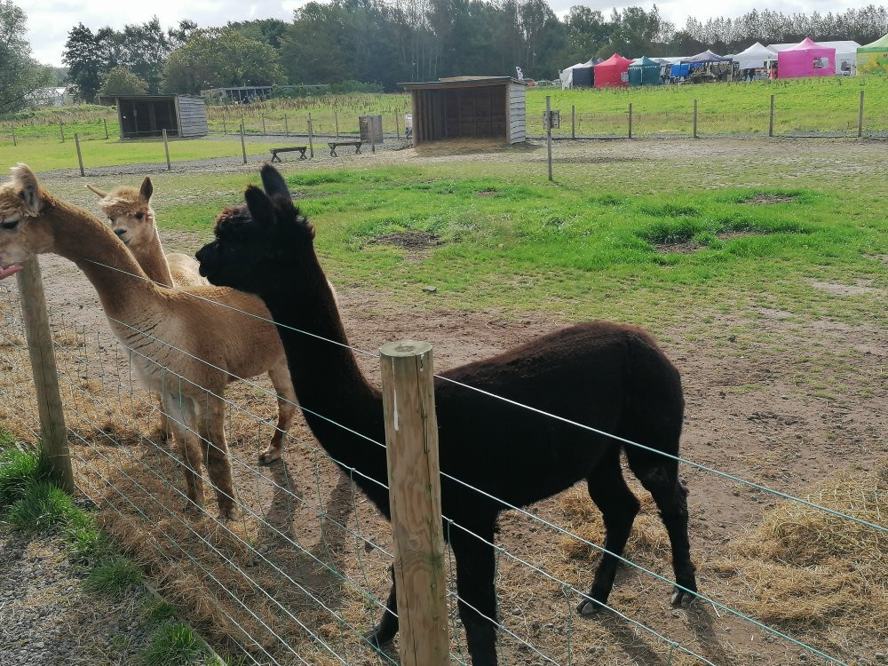 Apple Cast Farm-Newburgh必去景点