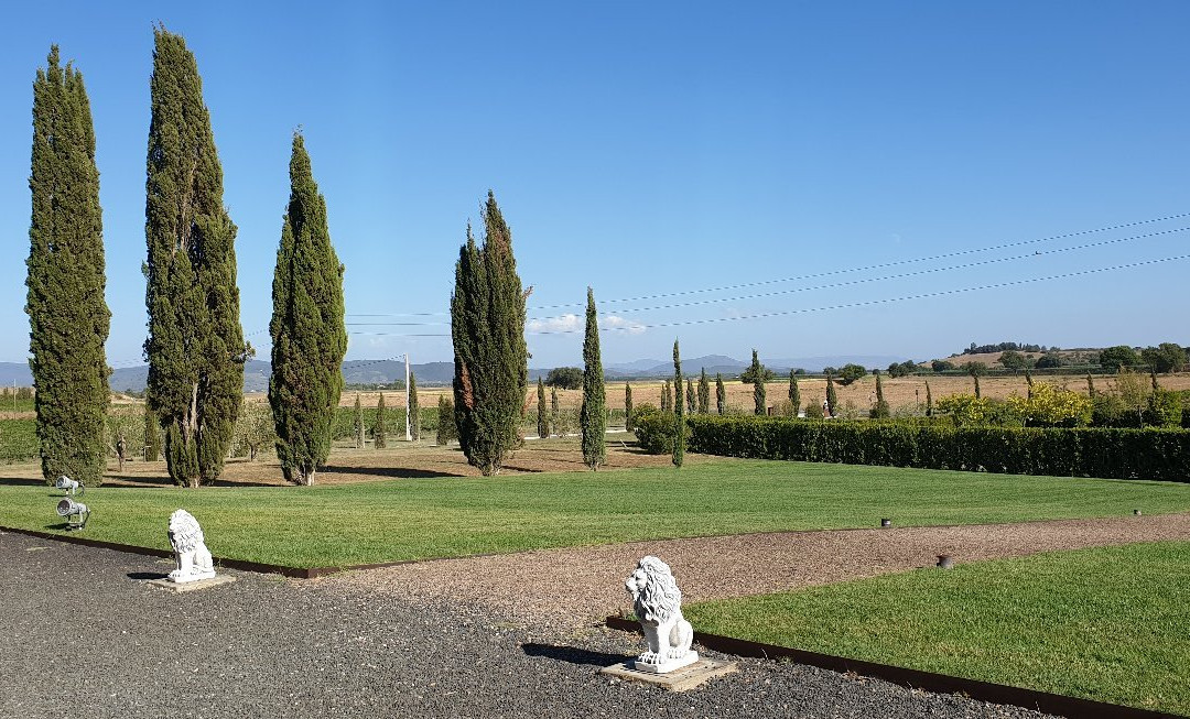 Tenuta Fertuna景点图片