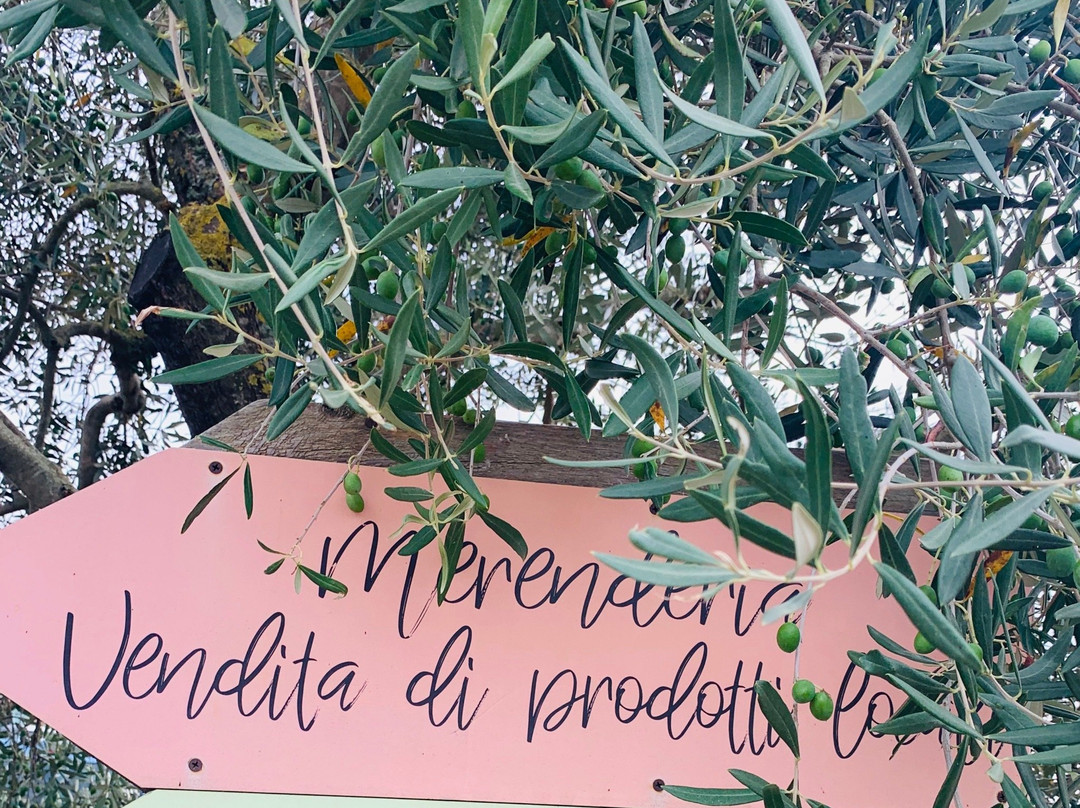 Agriturismo La Poderina E Gli Olmi主图