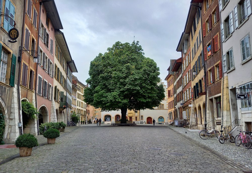 Altstadt Biel-比尔必去景点