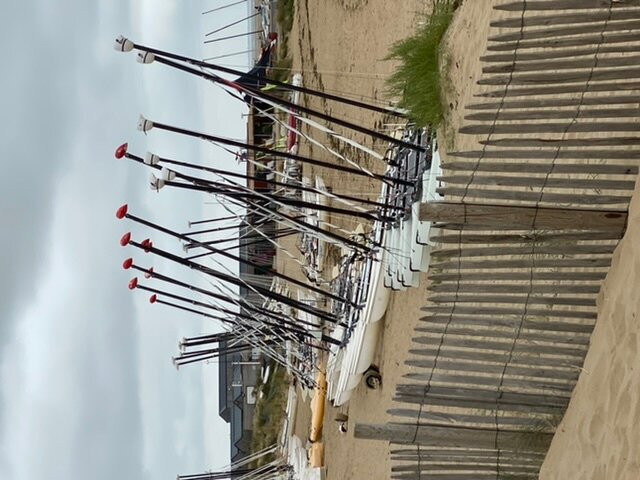 Beach of La Palmyre景点图片