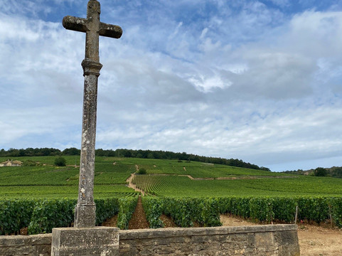 Authentica Tours-第戎必去景点