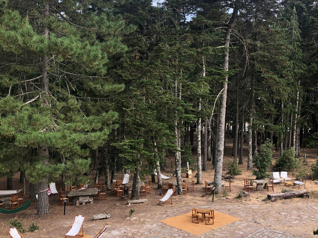 Vallicciola - Monte Limbara Nature Hotel主图