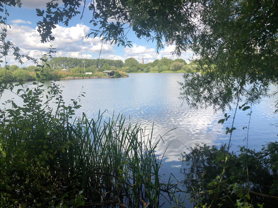 Emberton Country Park景点图片