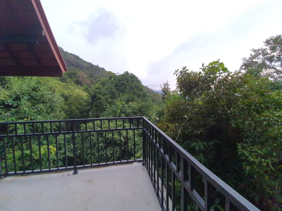 Arangala Forest Lodge主图