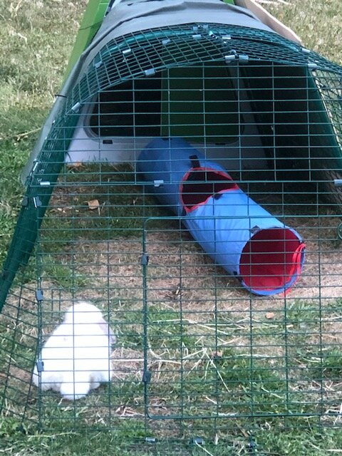 WOODS on Pender主图