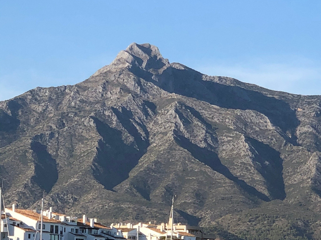 Puerto Banus Street Market景点图片